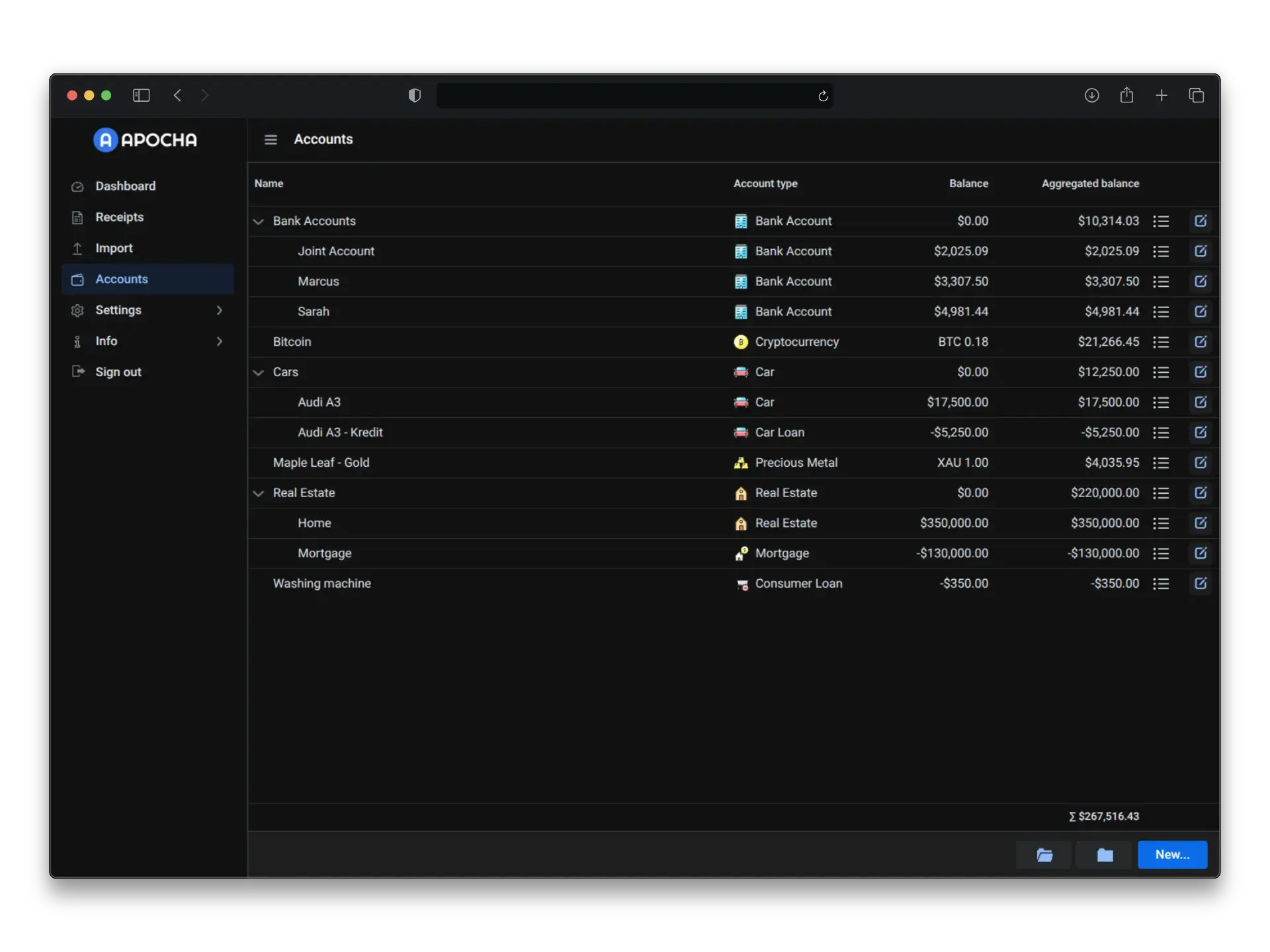 Screenshot shows the hierarchical account structure in Apocha with main categories like Bank Accounts and Liabilities along with their sub-accounts
