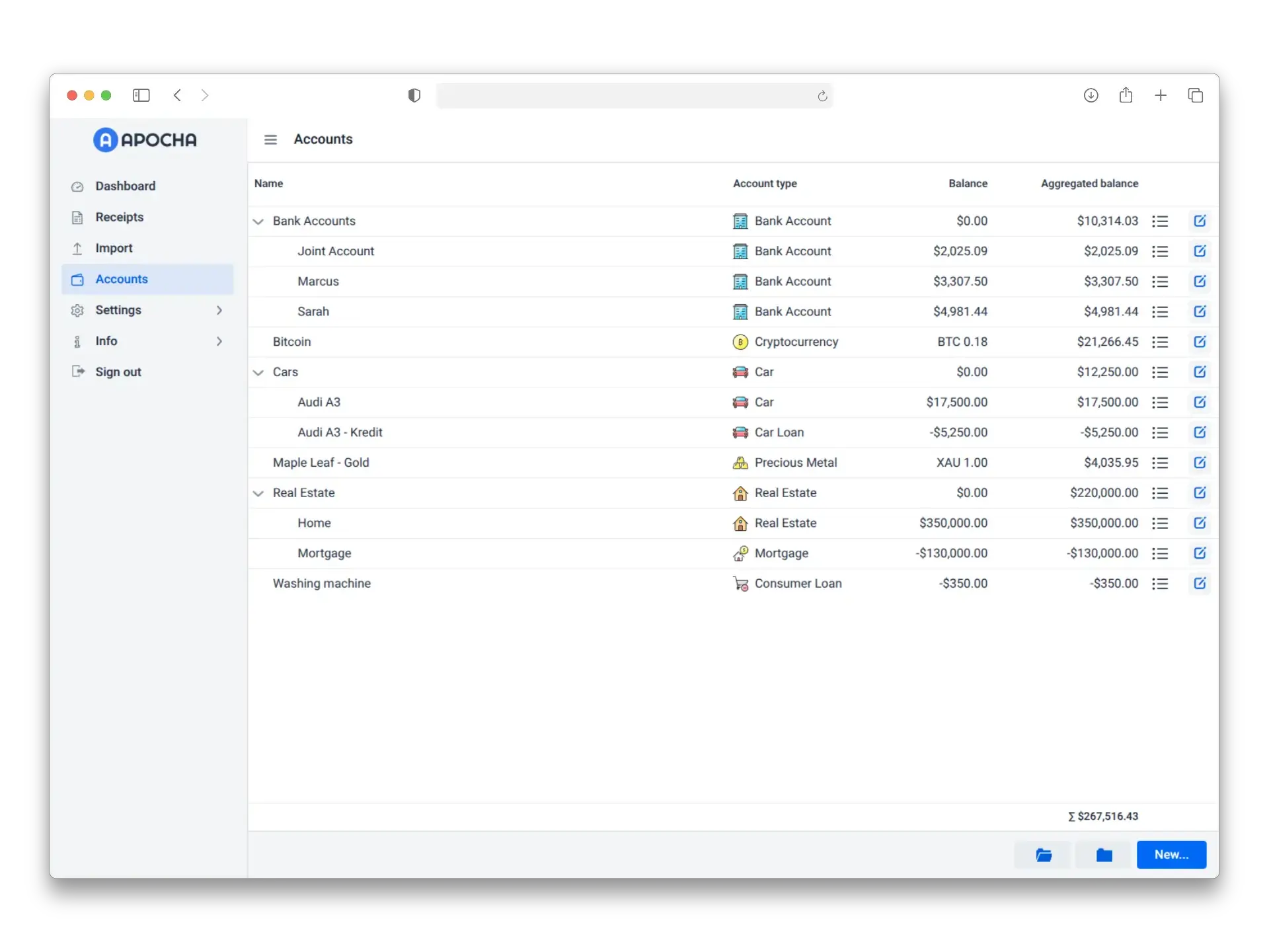 Screenshot shows the hierarchical account structure in Apocha with main categories like Bank Accounts and Liabilities along with their sub-accounts