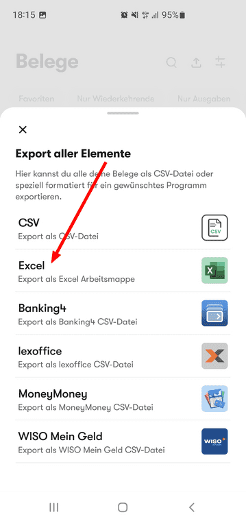 Screenshot des Excel-Exports in der epap App
